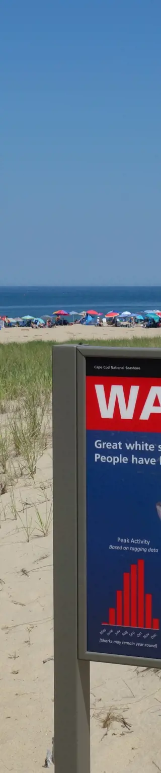Besuche die kleinen Städtchen am Cape Cod
